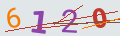verifycode